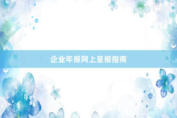 企业年报网上呈报指南